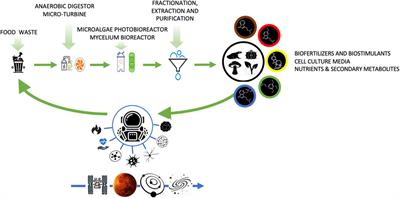 A long trip into the universe: Psychedelics and <mark class="highlighted">space travel</mark>